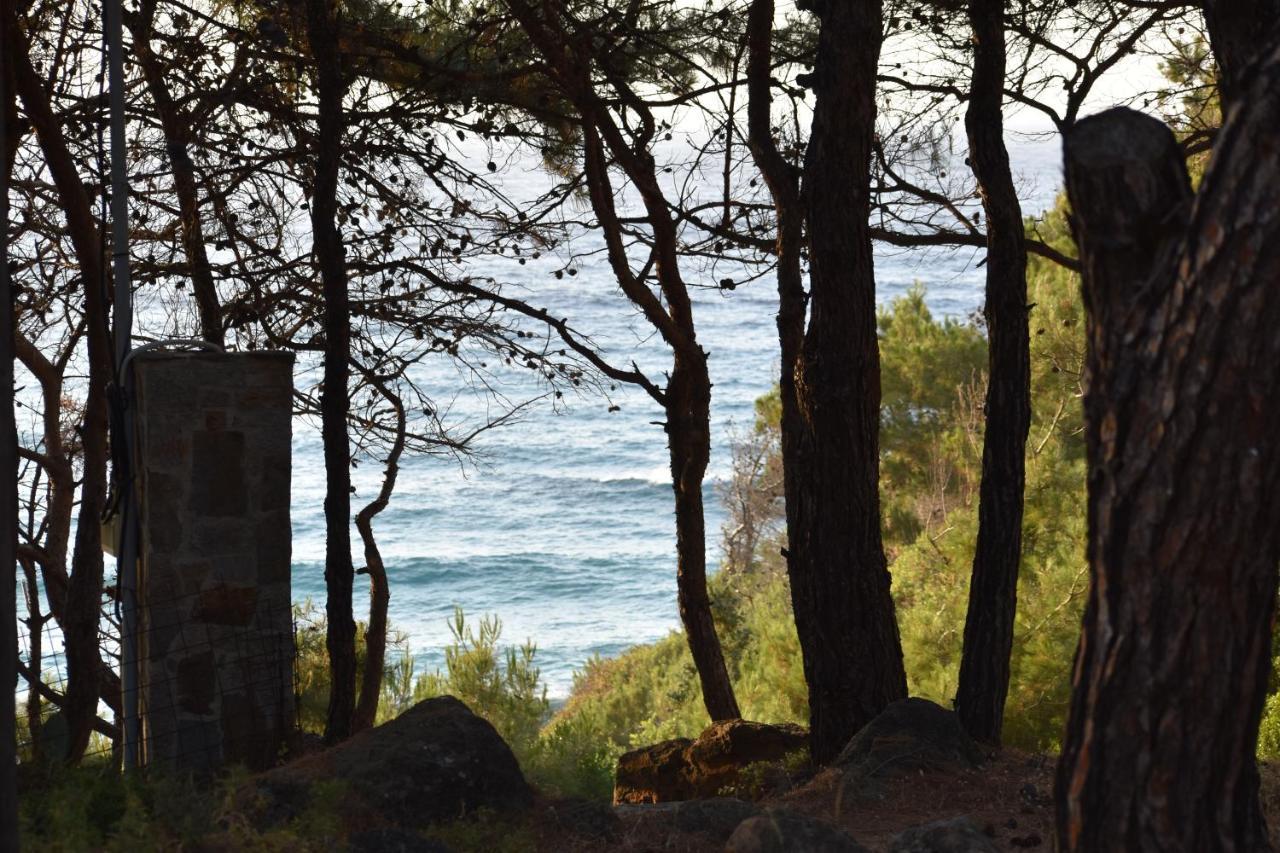 Dolihis Gi, Poseidon Villa Gialiskari  Dış mekan fotoğraf